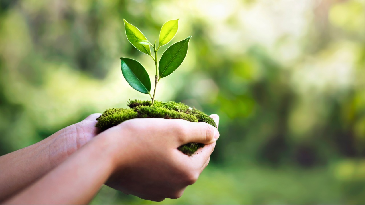 Wakaf Uang dan Manfaatnya