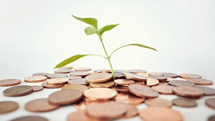 Menanam Wakaf, Menuai Pahala yang Abadi